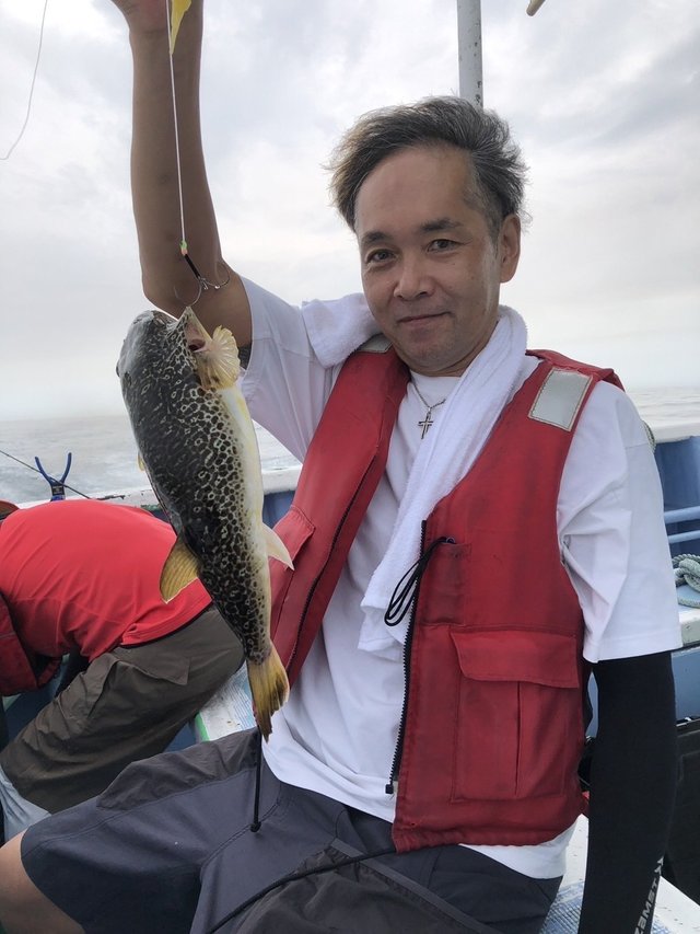 ショウサイフグ