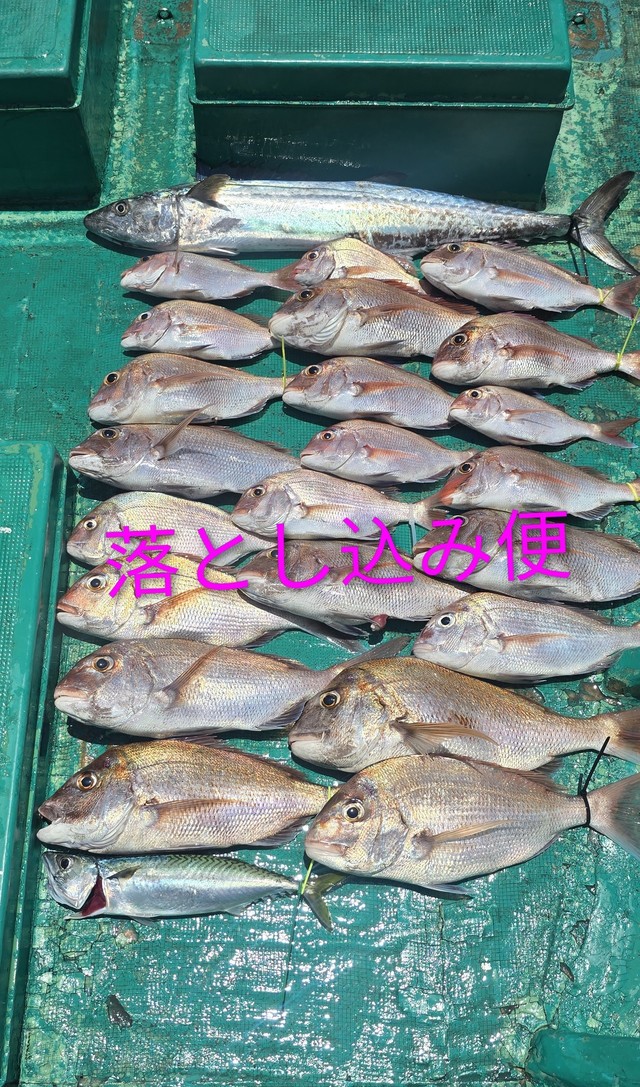マダイ・サワラ