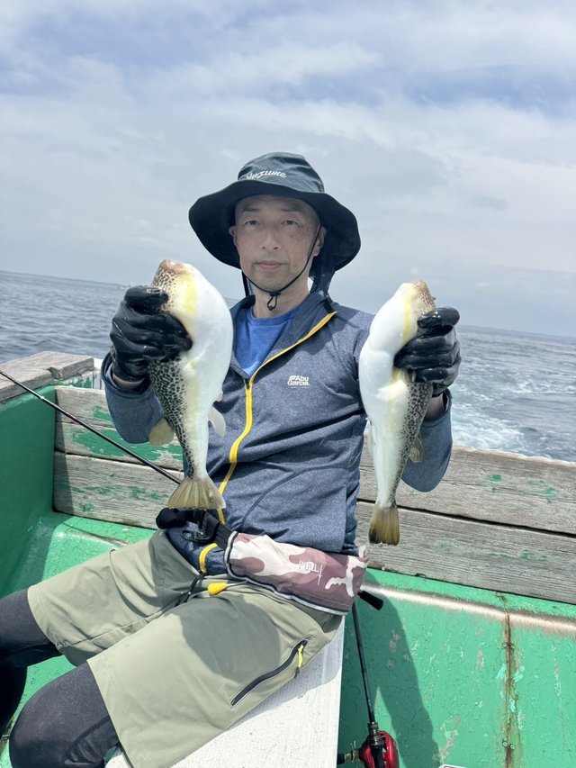 ショウサイフグ