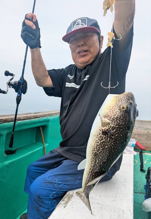 ショウサイフグ
