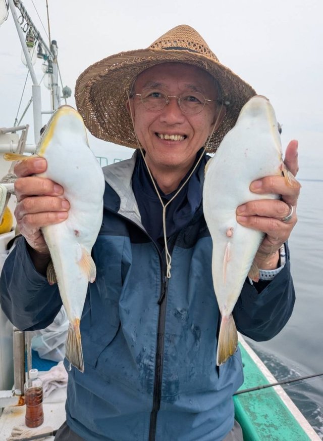 ショウサイフグ