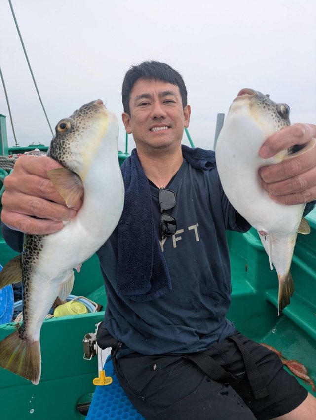 ショウサイフグ