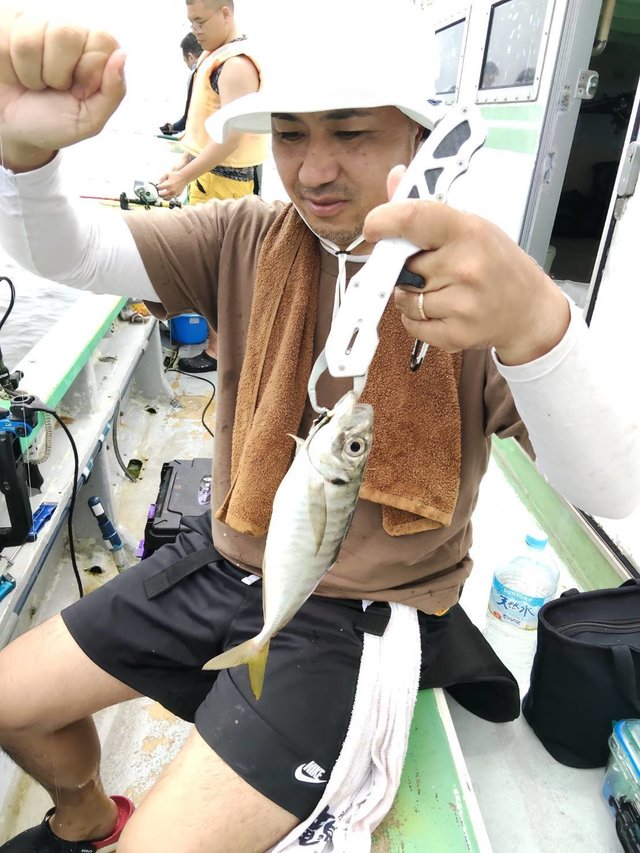 アジ(マアジ)
