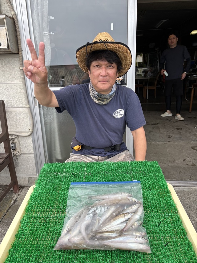 シロギス