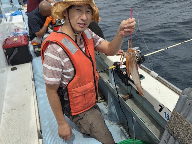 スルメイカ