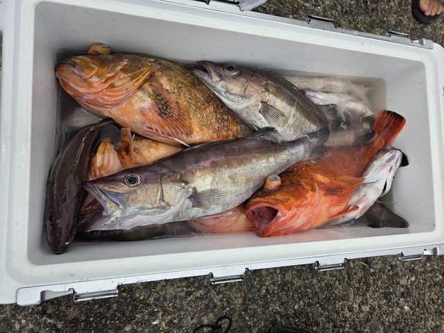 アラ