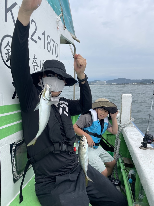 アジ(マアジ)