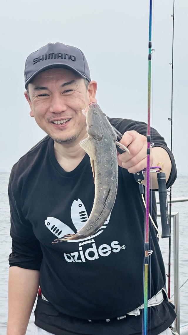 マゴチ