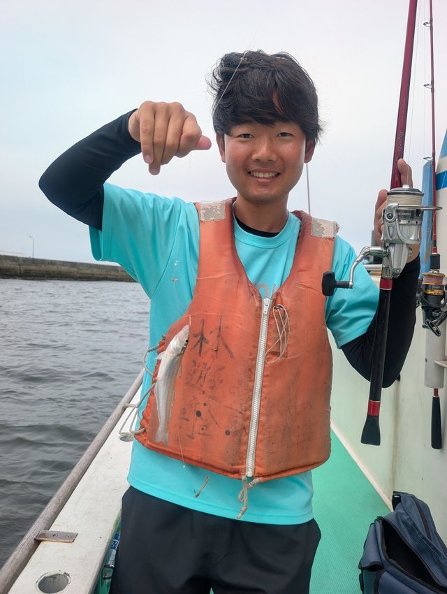 シロギス