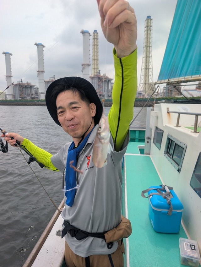 シロギス
