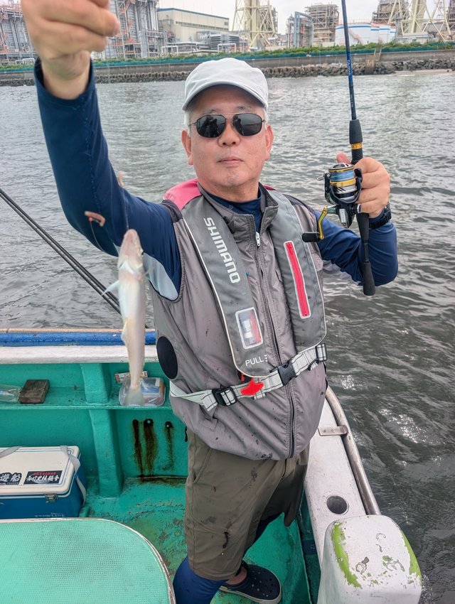 シロギス