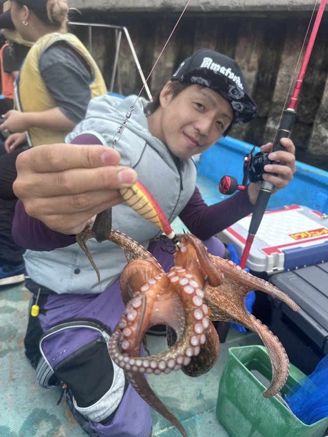 マダコ
