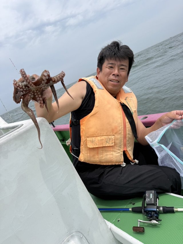 マダコ
