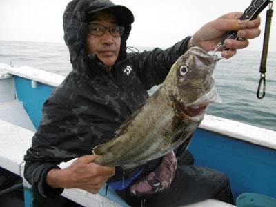 イシナギ(オオクチイシナギ)