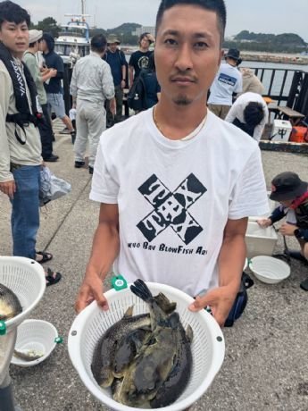 ショウサイフグ