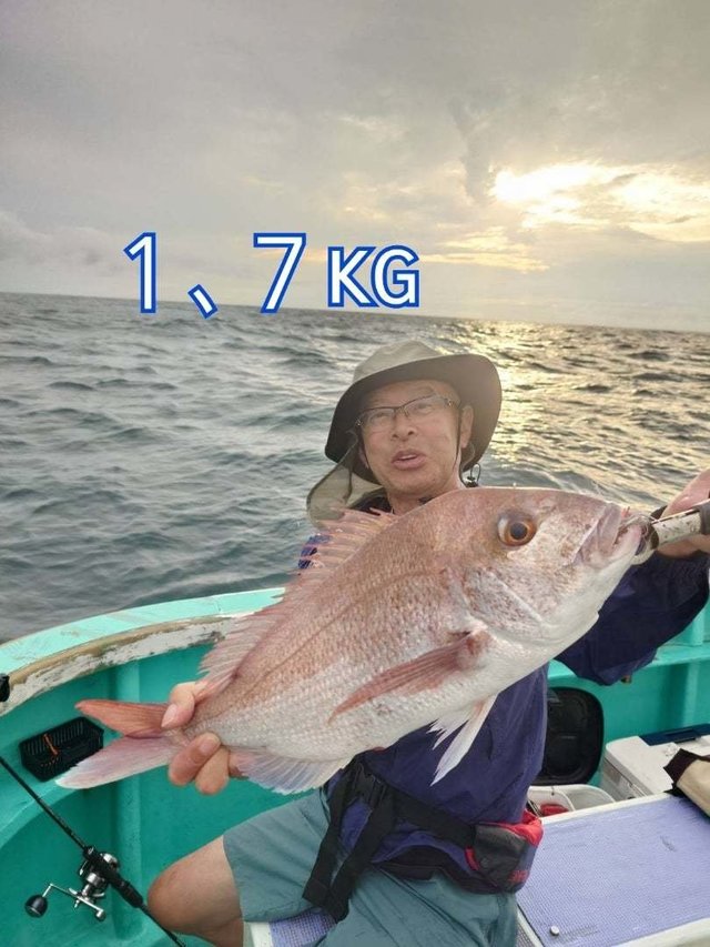 マダイ