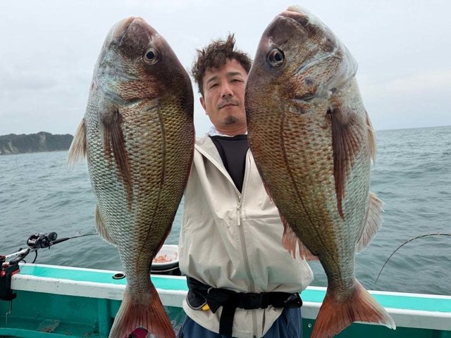 マダイ