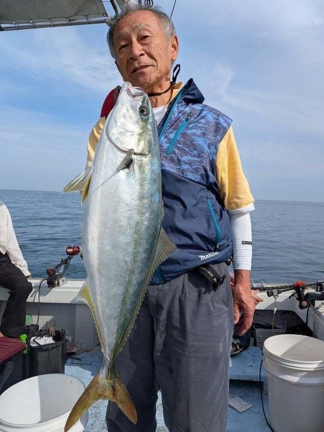 ワラサ(ブリ)