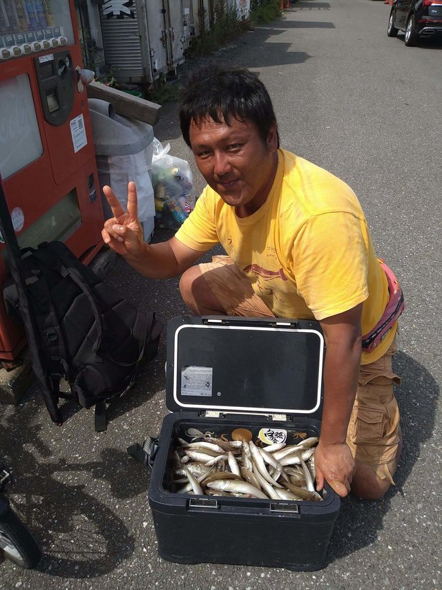 シロギス