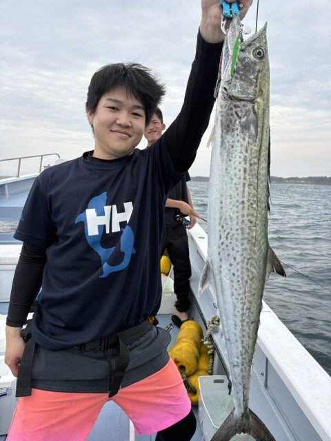 サワラ