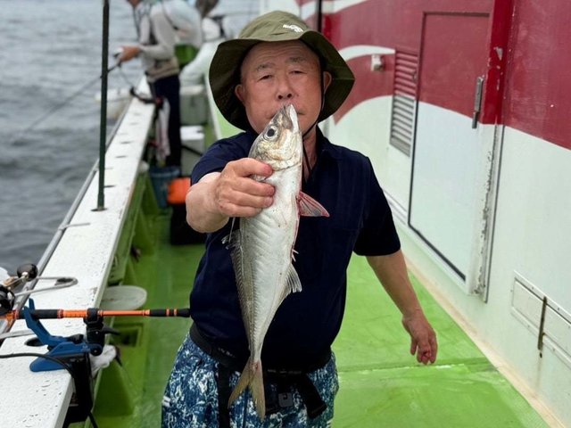 アジ(マアジ)
