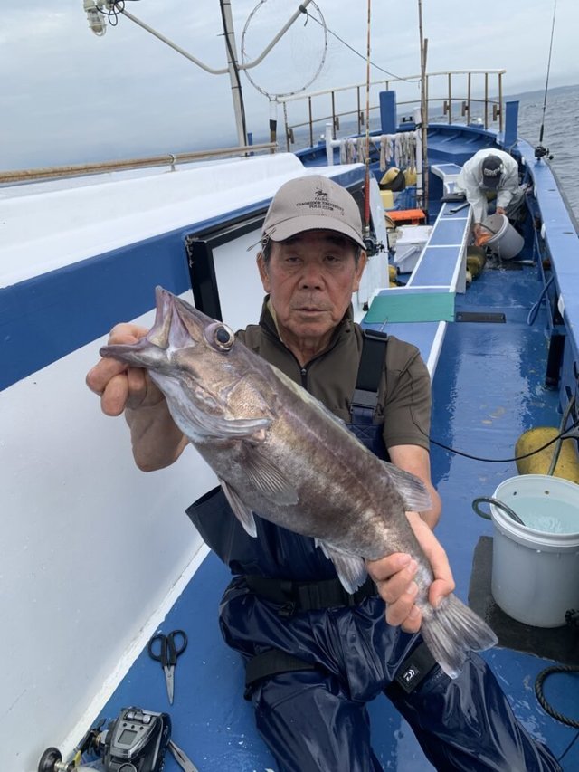 アラ