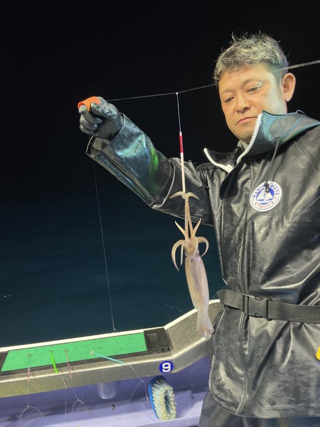 スルメイカ