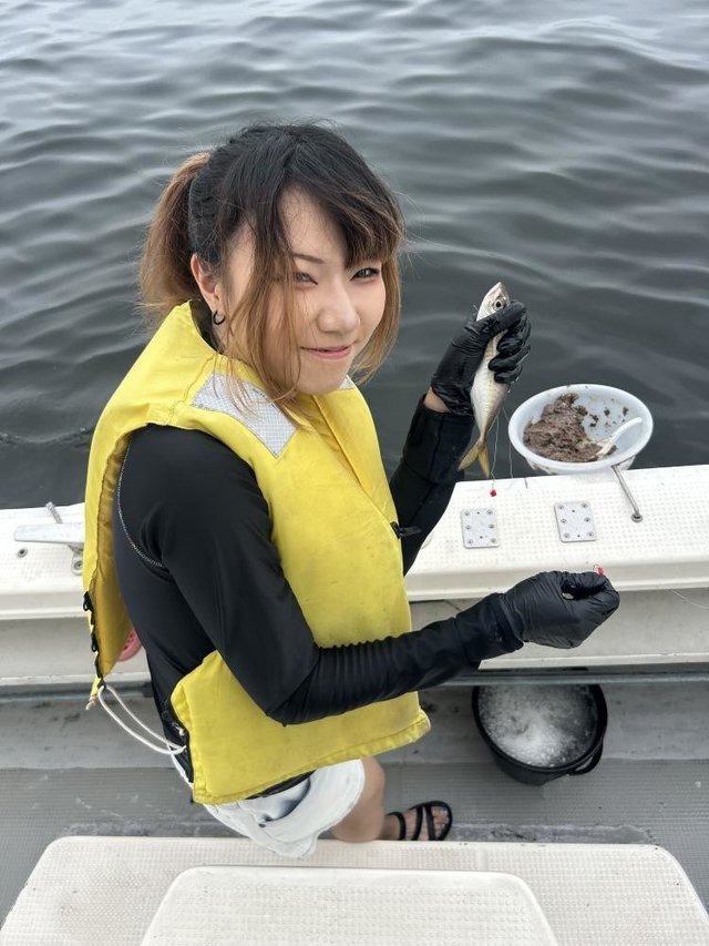 アジ(マアジ)