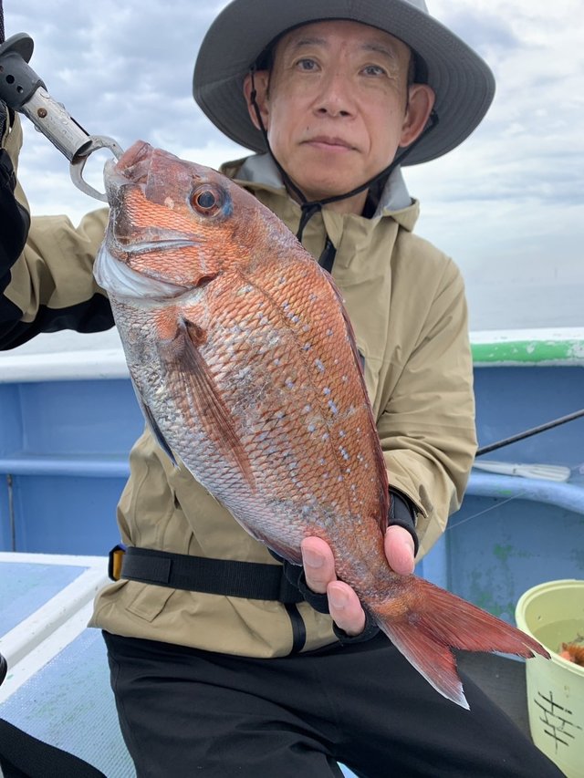 マダイ