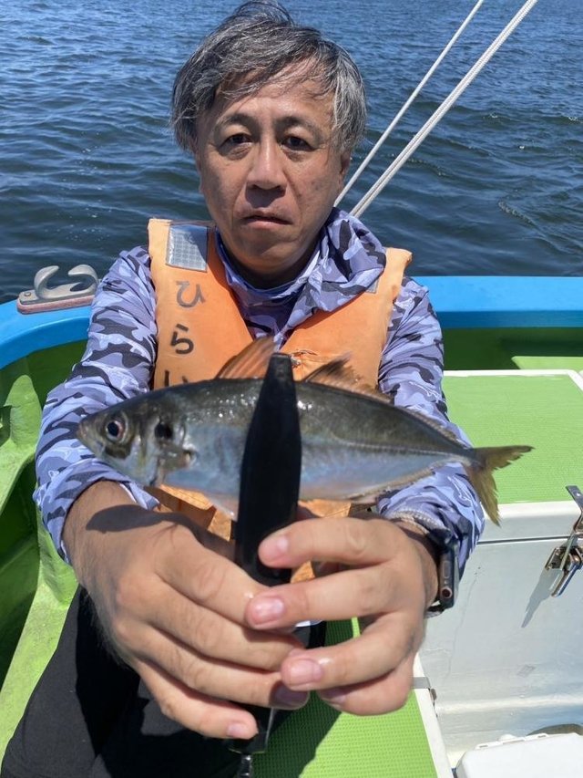 アジ(マアジ)