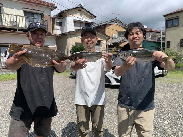 アジ(マアジ)