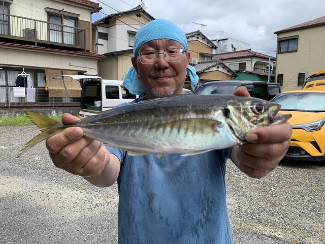 アジ(マアジ)