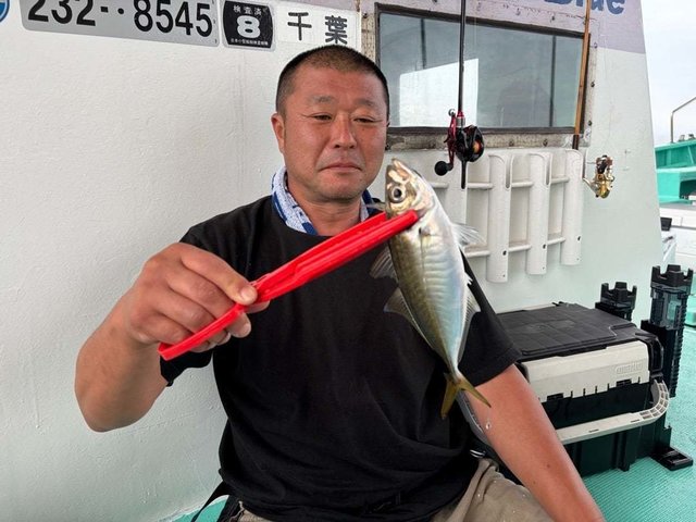 アジ(マアジ)