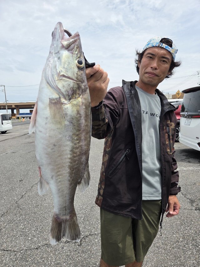 アラ
