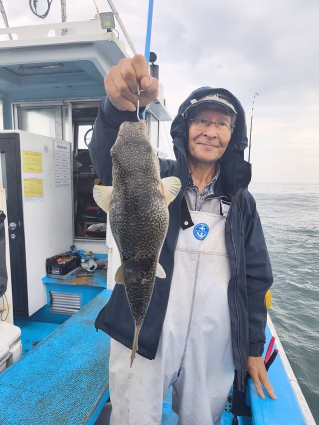 ショウサイフク(ショウサイフグ)