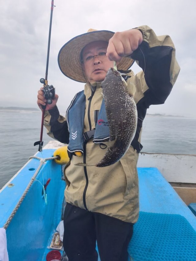 ショウサイフク(ショウサイフグ)