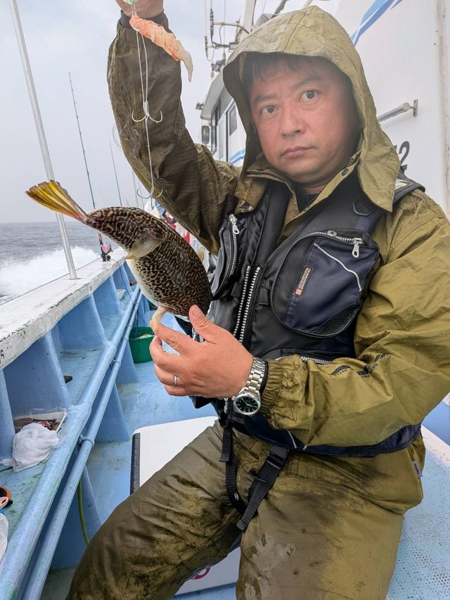 ショウサイフグ