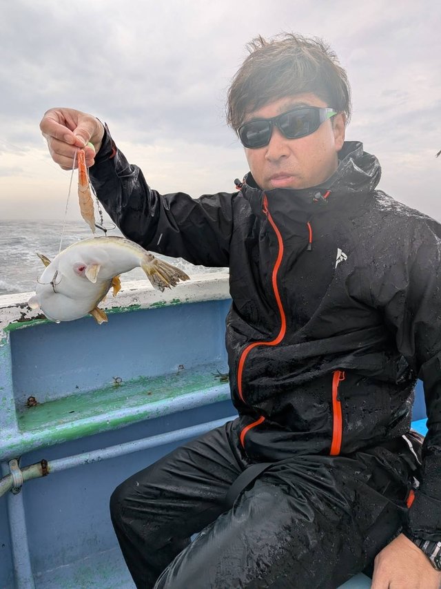 ショウサイフグ