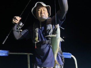 アジ(マアジ)