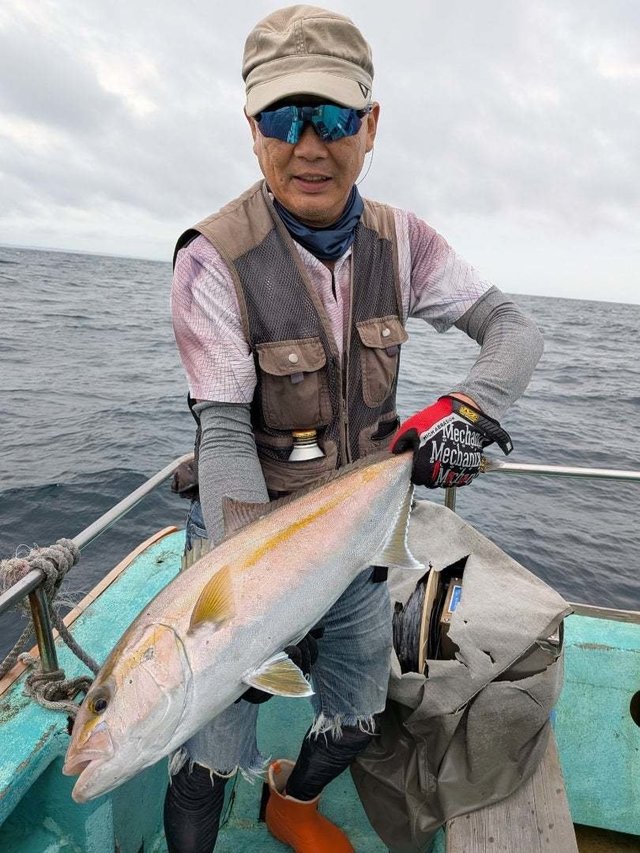 カンパチ