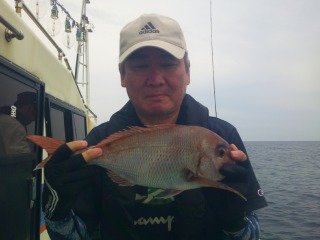 マダイ