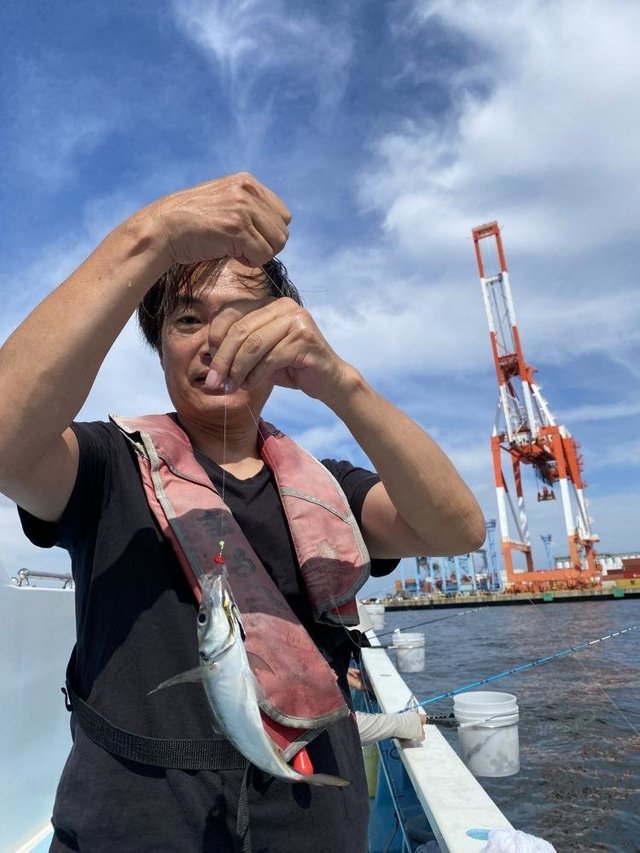 アジ(マアジ)