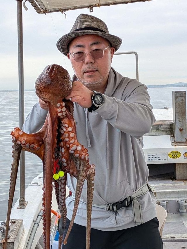 マダコ