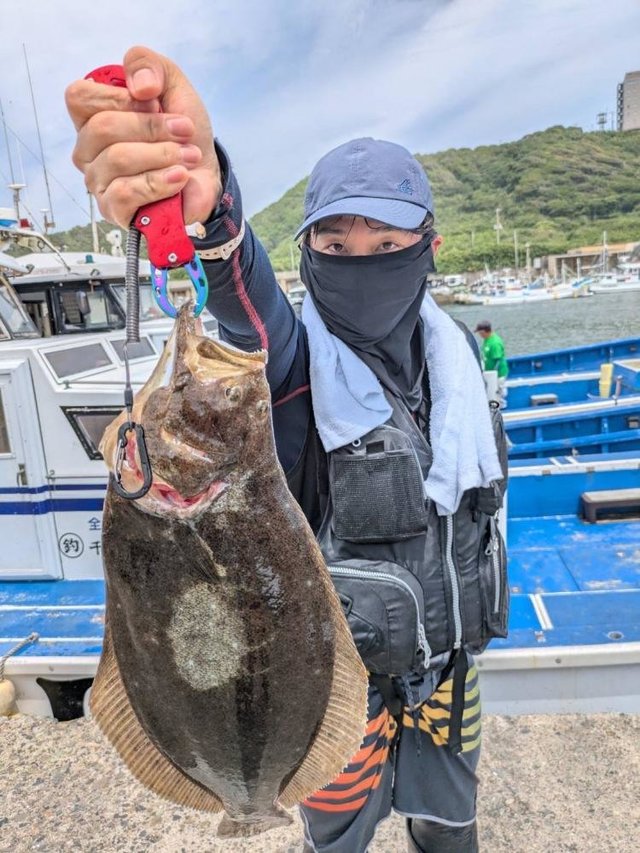 ヒラメ