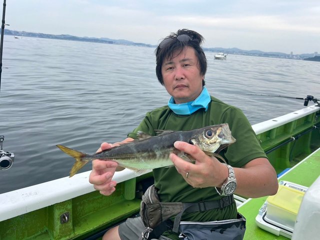 アジ(マアジ)