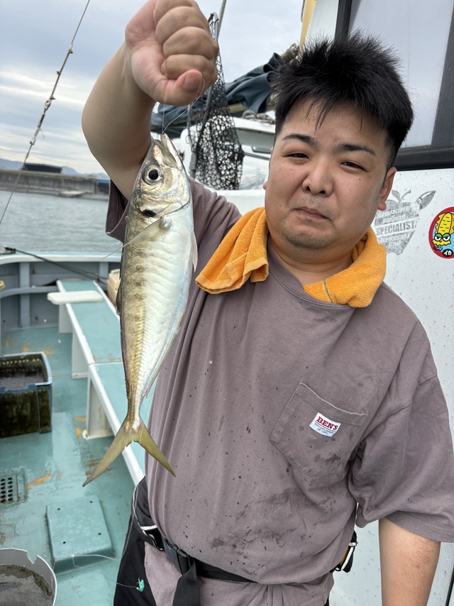 アジ(マアジ)