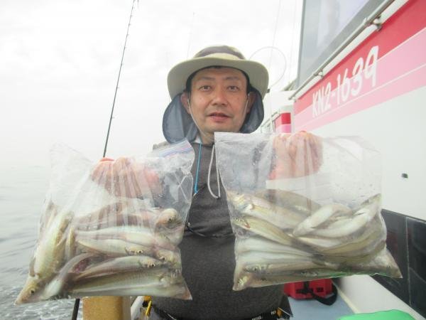 シロギス