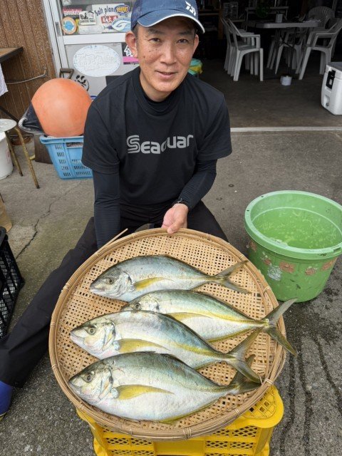 シマアジ