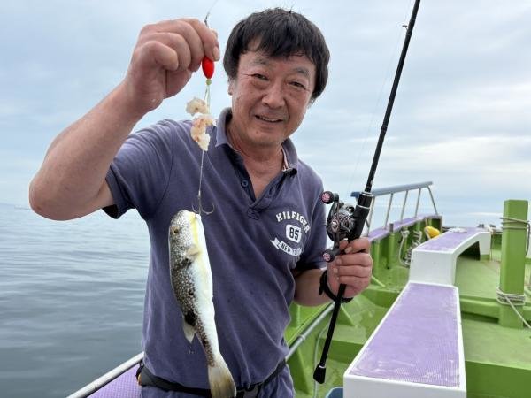 ショウサイフグ