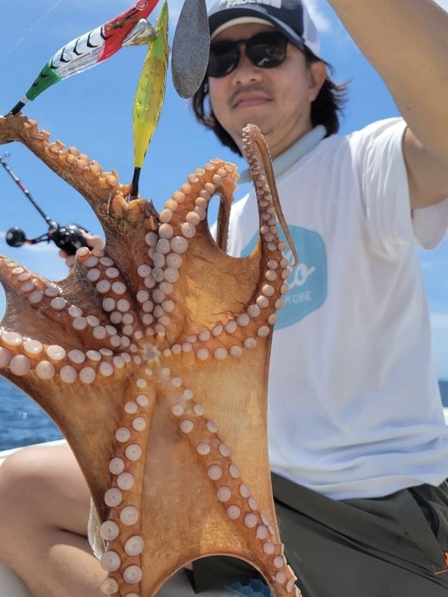 タコ(マダコ)
